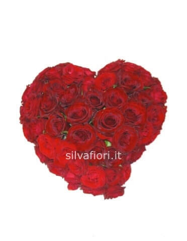 Cuore di rose colore rosso Cuore di rose colore rosso